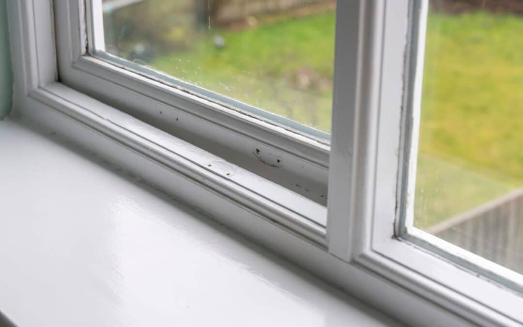 Common Double Glazing Problems Across Somerset Homes